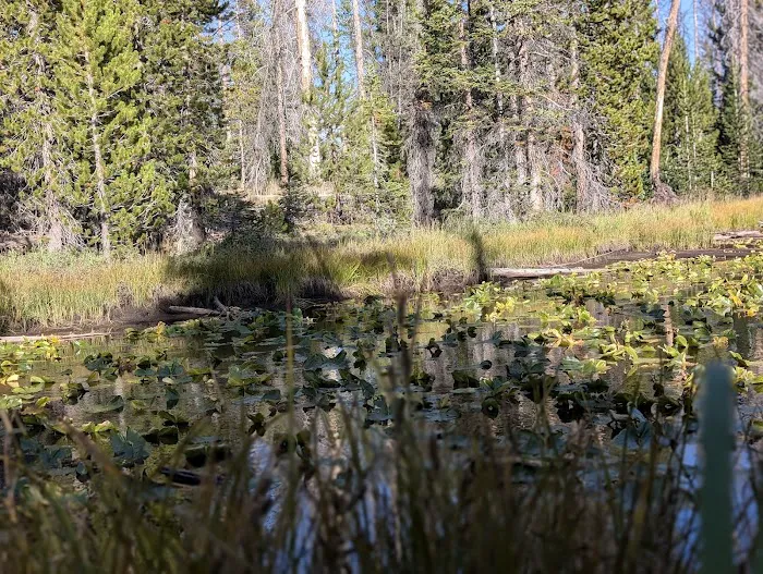 Soapstone Basin Camping Picture 10