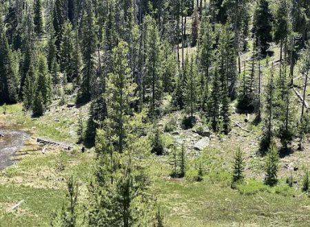 Zions Peak Recreation Camp