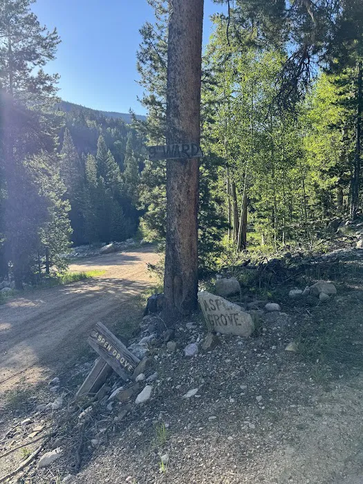 Zions Peak Recreation Camp Picture 5