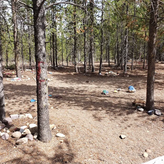 Shady Dell Campground Picture 4