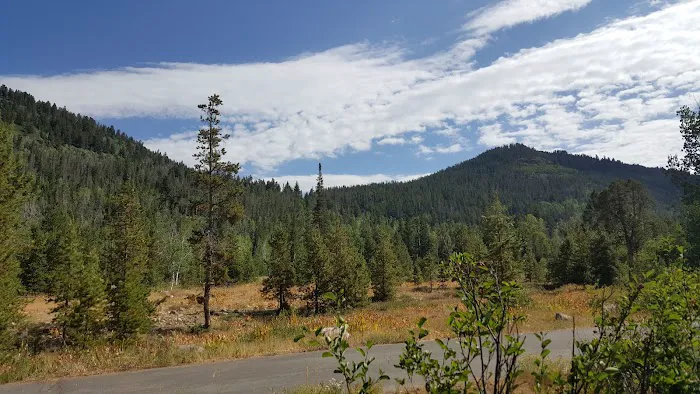 Shady Dell Campground Picture 1