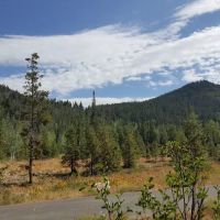 Shady Dell Campground ico