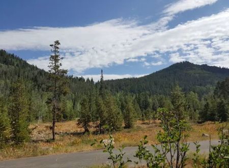 Shady Dell Campground
