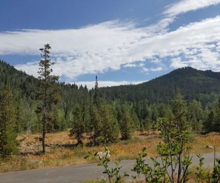 Shady Dell Campground