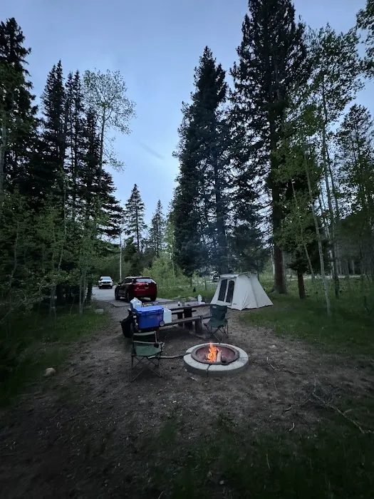 Shady Dell Campground Picture 7