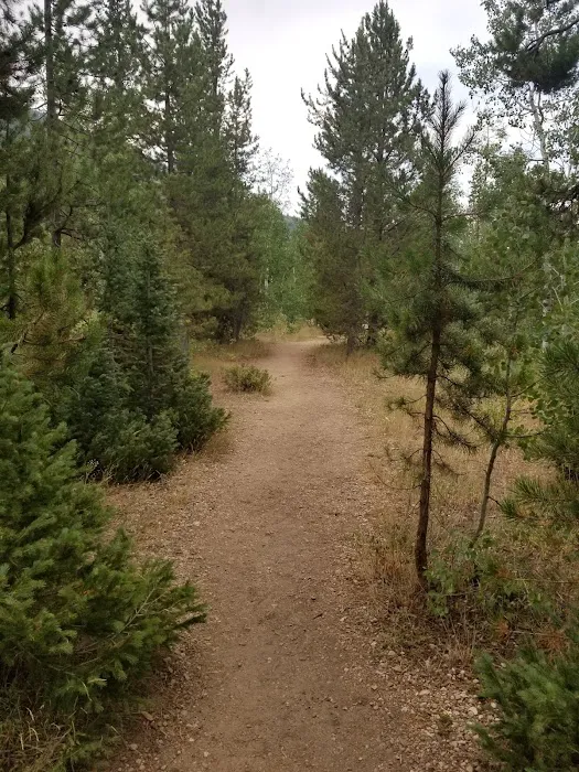Shady Dell Campground Picture 10