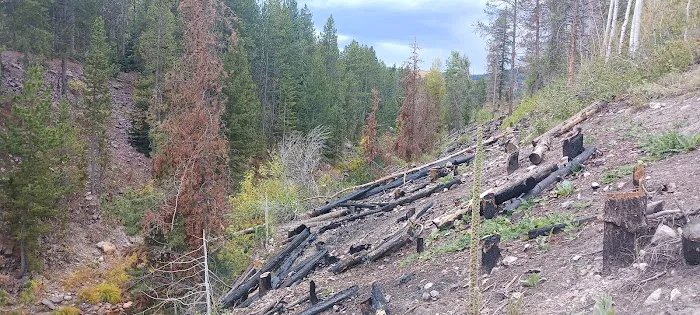 Duchesne Tunnel Campground Picture 4