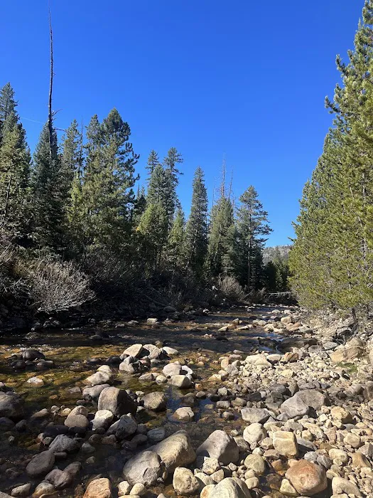 Duchesne Tunnel Campground Picture 9