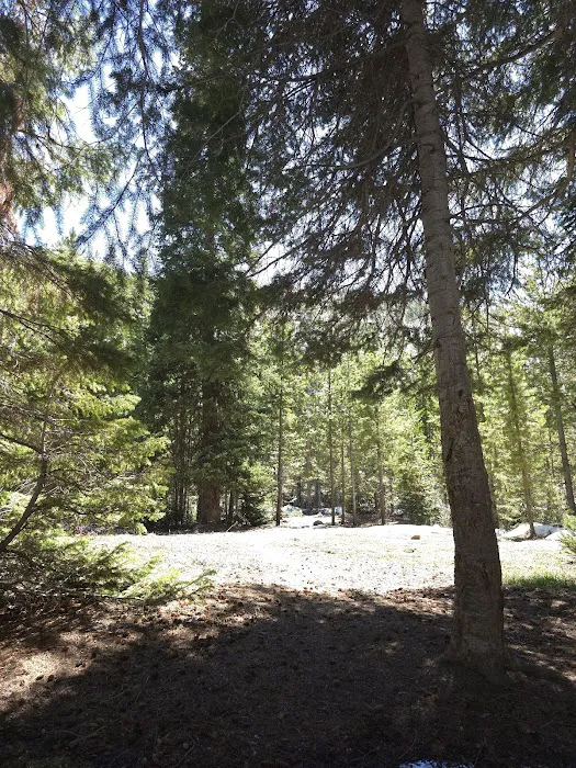 Cobblerest Campground Picture 4