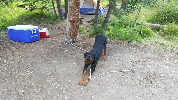 Cobblerest Campground Picture 8