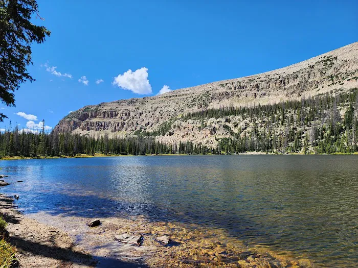 Washington Lake Campground Picture 2