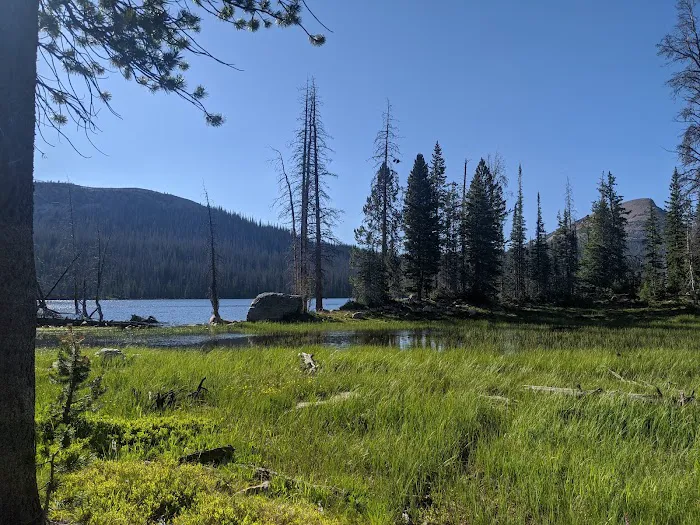 Washington Lake Campground Picture 3