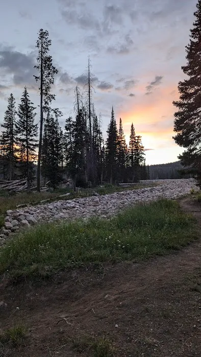 Washington Lake Campground Picture 4