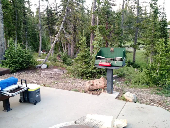 Washington Lake Campground Picture 9