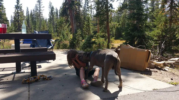 Washington Lake Campground Picture 8
