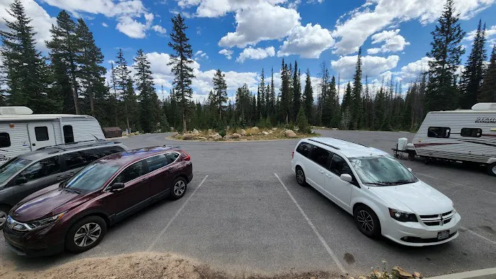 Washington Lake Group Campsites Picture 6