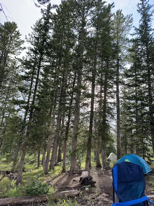 Washington Lake Group Campsites Picture 5