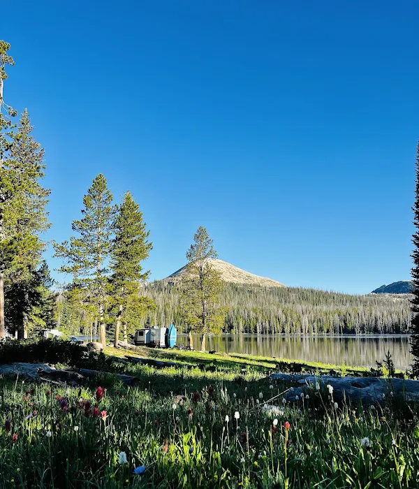 Trial Lake Campground Picture 2