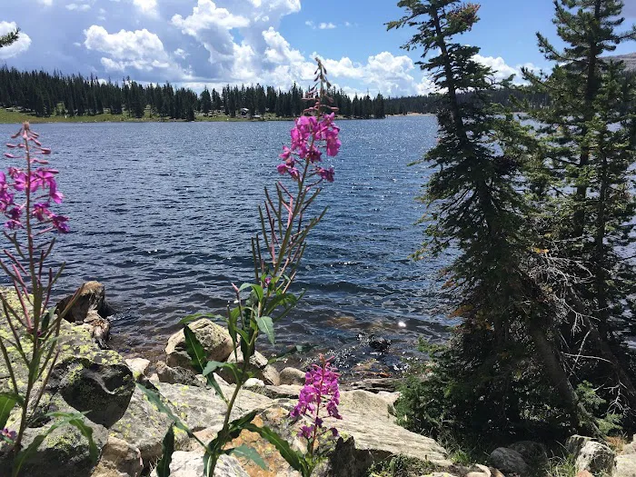 Trial Lake Campground Picture 9