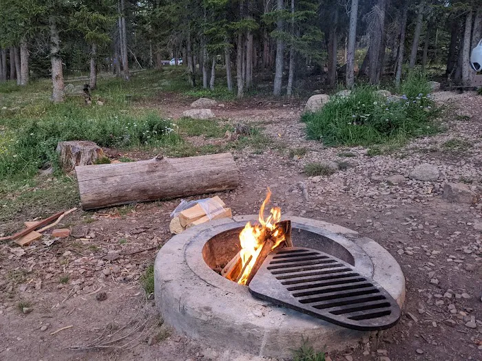 Trial Lake Campground Picture 10