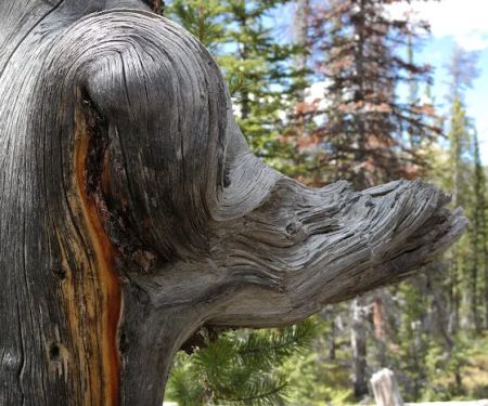 Lilly Lake Campground