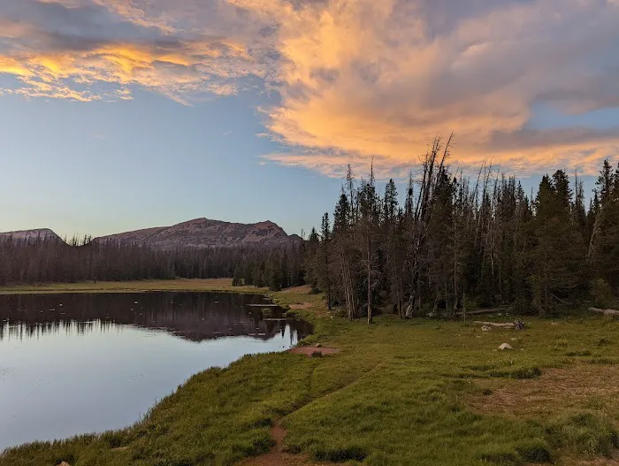Lilly Lake Campground Picture 3