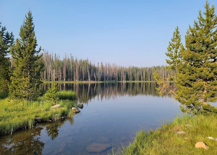 Lilly Lake Campground Picture 2