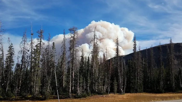 Lilly Lake Campground Picture 5