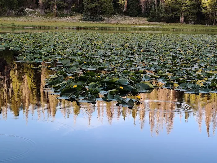Lilly Lake Campground Picture 6