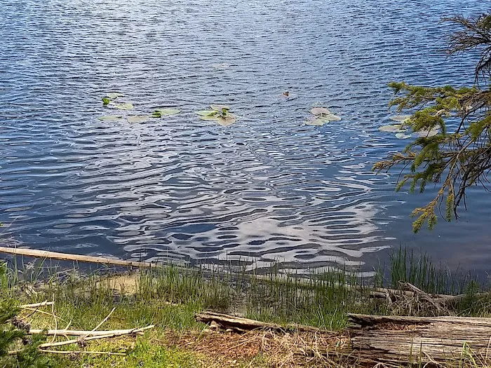 Lilly Lake Campground Picture 8