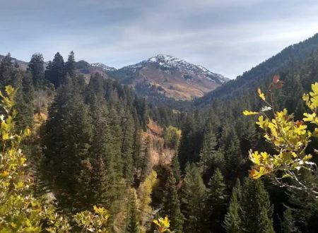 Rock Canyon Campground