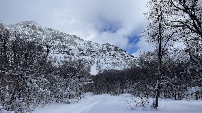 Rock Canyon Campground Picture 6