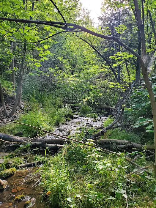 Whiting Campground Picture 3