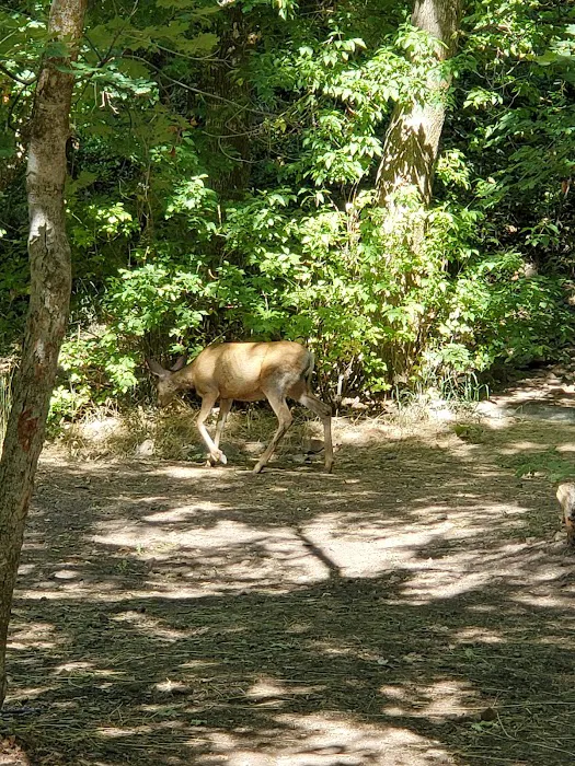 Whiting Campground Picture 6