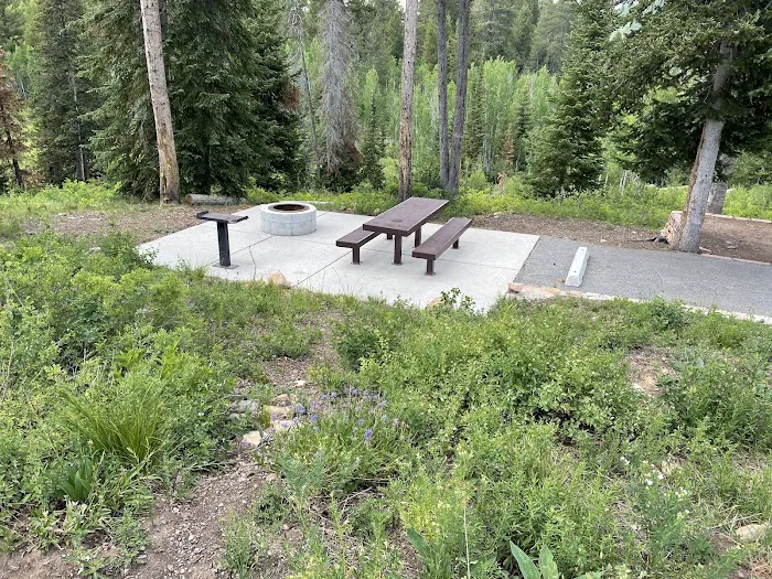 Lodgepole Campground Picture 4