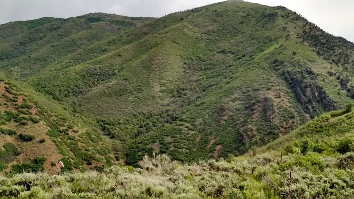 Buck Hollow Picture 5