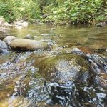 Balsam Campground