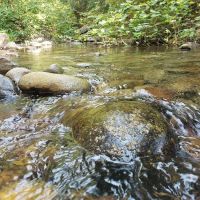 Balsam Campground ico