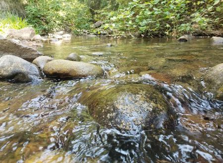 Balsam Campground