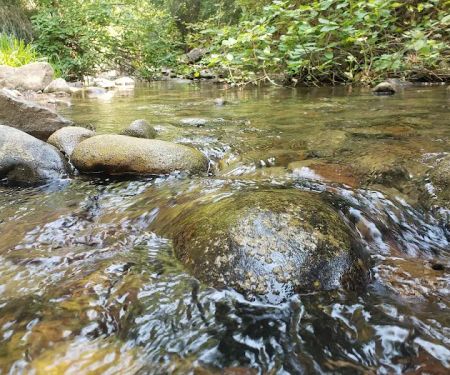 Balsam Campground