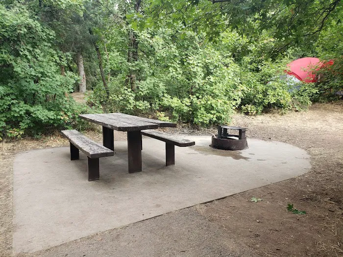 Balsam Campground Picture 2