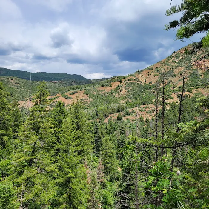 Balsam Campground Picture 4