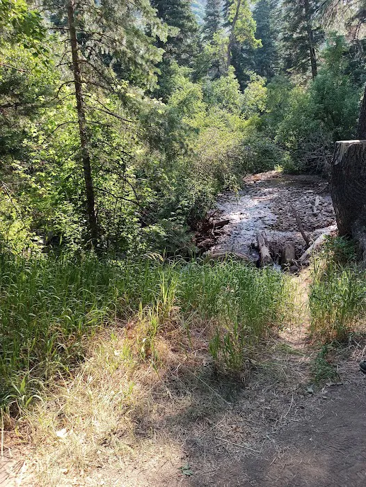 Balsam Campground Picture 7