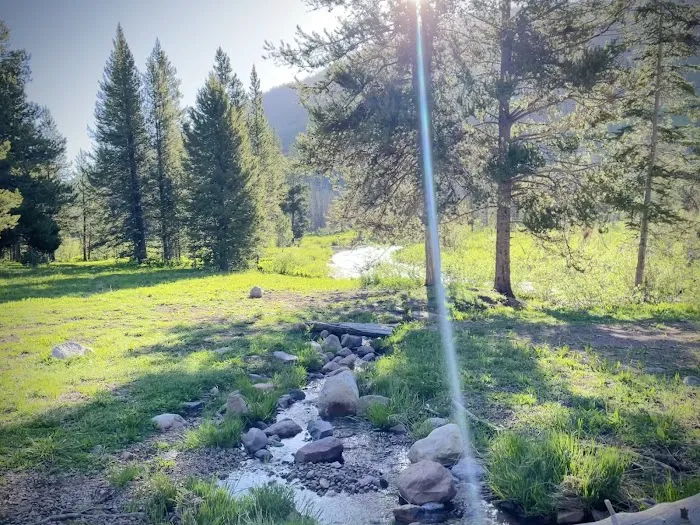 Sulphur Campground Picture 4
