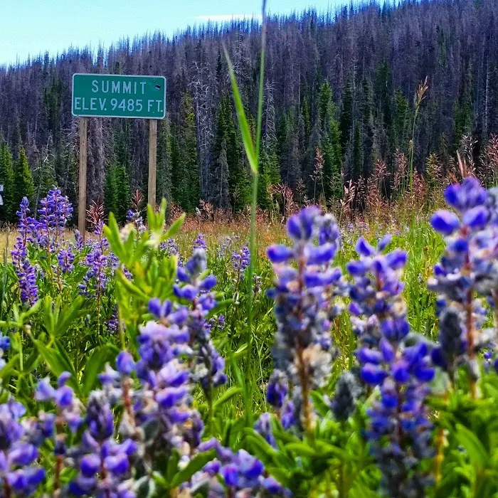 Wolf Creek Campground Picture 10