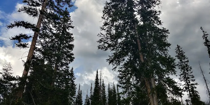 Wolf Creek Campground Picture 9