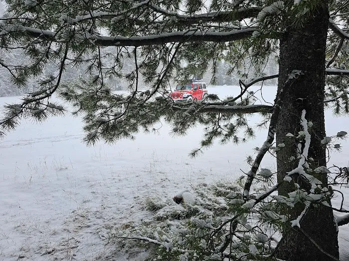 Mill Flat Camping Area Picture 9