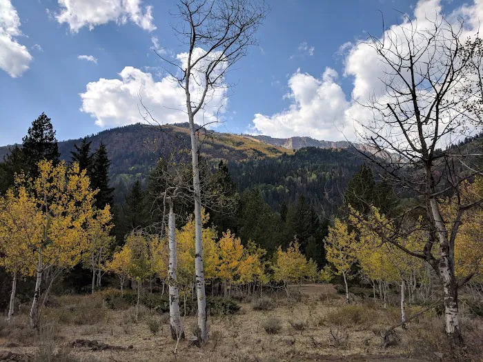 Iron Mine Campground Picture 1