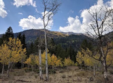 Iron Mine Campground