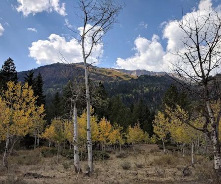 Iron Mine Campground